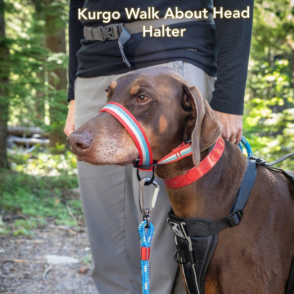 NEW Kurgo Walk About Head Halter for Dogs Size Medium Striped
